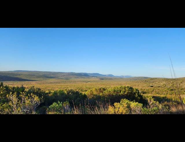 FARM FOR SALE IN STILBAAI RURAL